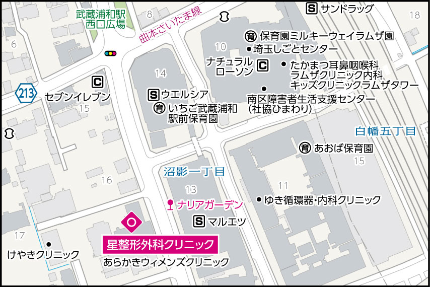 星整形外科クリニックの地図
